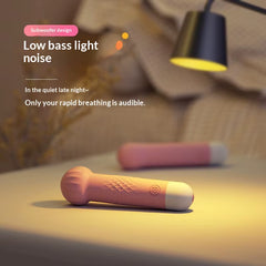 Laile Family Vibrator USB Inverter Mini AV Stick Cake Tide Female Masturbation Equipment Sex Toys Model AL675489645929 50Db