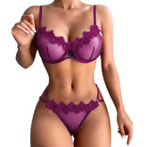Ladies Underwear Sexy Bra and Panty New Design Transparent Lace Sensual Erotic Lingerie Sets