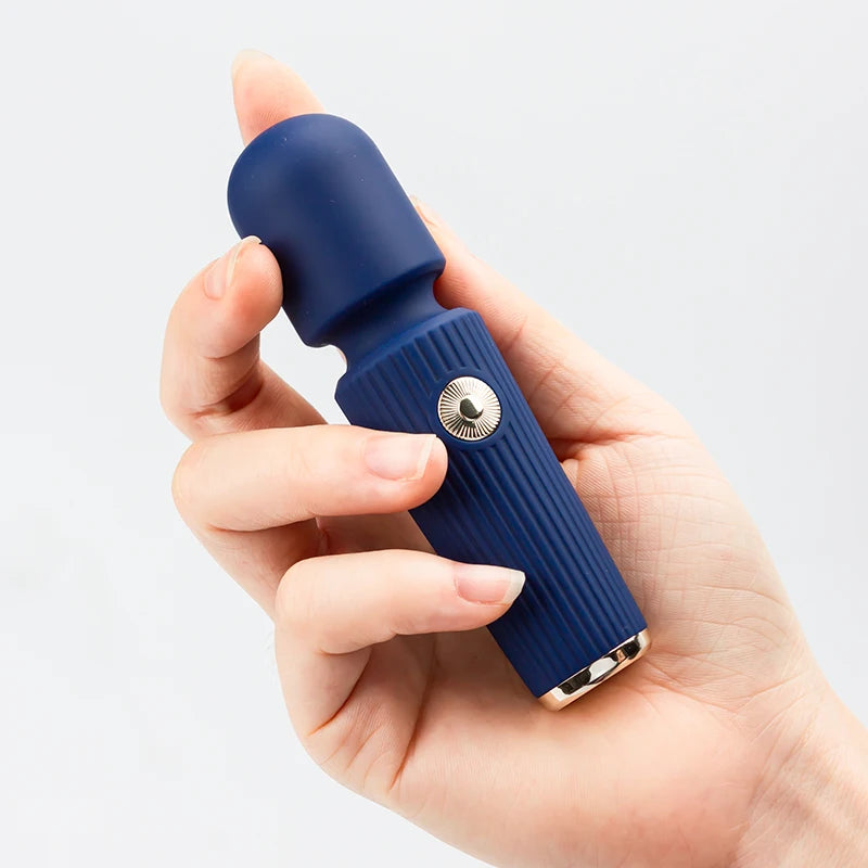 Vibration Clitoris Stimulator G Spot Vibrator Remote - 10 Speeds Realistic Dildo and Vibrator Sex Toys for Women