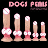 5 Size Dildo Feminino Masturbation Suction Cup Big Cock Realistic Animal Dog Dildo for Women and men