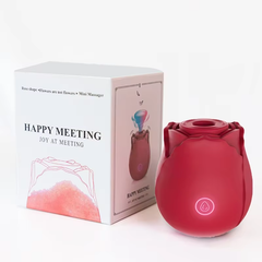 Rose Vibrator with 9 Sucking & Vibrating Nipples Clit Massager Mini the Rose Sex Toy